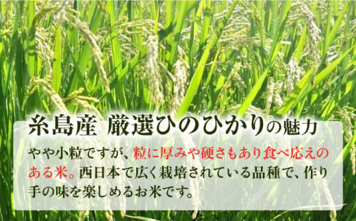 【2024年11月以降順次発送】【全12回定期便】いとし米 厳選ひのひかり 2kg (糸島産) 糸島市/三島商店 [AIM070]