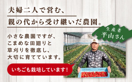 ＼令和6年産新米／糸島産 ミルキークイーン 3kg×2袋 糸島市 / 平山農園 米 白米 [AXN002]