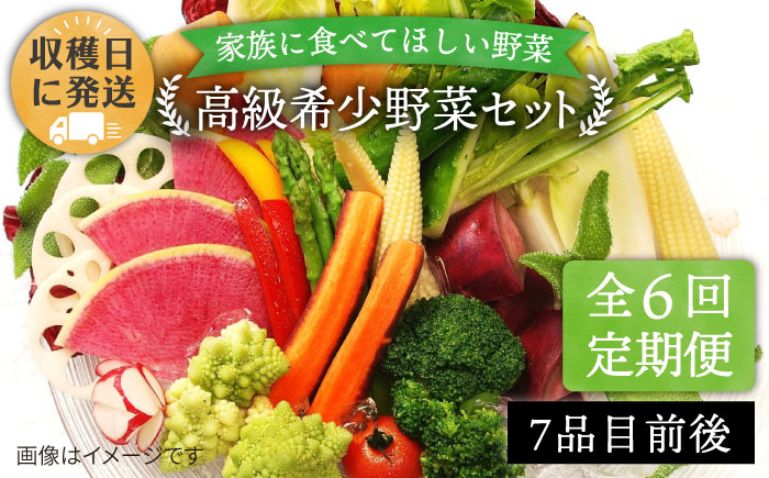 【 全6回 定期便 】【 農薬・化学肥料 不使用 】こだわり 高級希少野菜 セット （ 7品 前後 ） 《糸島》【オーガニックナガミツファーム】  [AGE017]