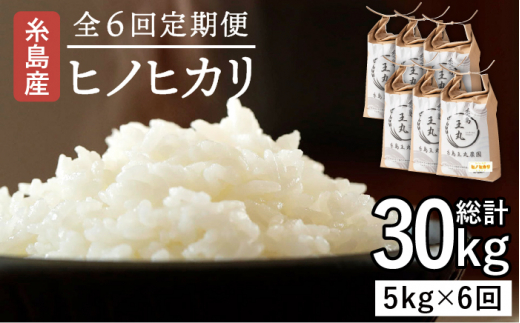 【全6回定期便】糸島産 ヒノヒカリ 5kg×6回 　糸島市 / 糸島王丸農園 ( 谷口汰一 )【いとしまごころ】 [AAZ012]