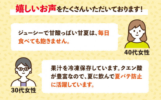 【先行予約】【 有機栽培 】 甘夏 10kg 栽培期間中 農薬 不使用 【2025年4月中旬以降順次発送】《糸島》 【わかまつ農園】 [AHB016] 果物 フルーツ