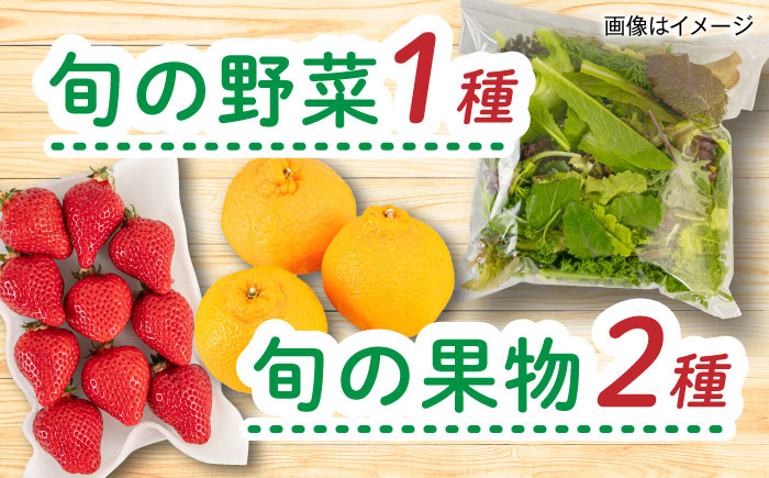 【全12回定期便】糸島産 魚 米 野菜 果物 厳選詰め合わせ MINORI BOX Mサイズ 糸島市 / emma.Inc / 米 魚 野菜 果物 詰め合わせ [AOP026]