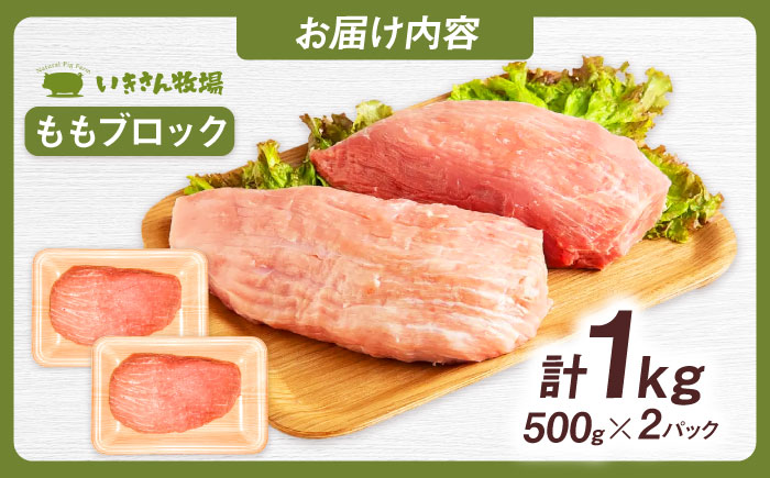 一貴山豚 モモブロック 1kg 糸島市 / いきさん牧場 豚肉 [AGB038] 豚肉 豚 ブランド豚 一貴山豚 ポーク モモ もも 塊肉 ブロック肉 1kg 肉