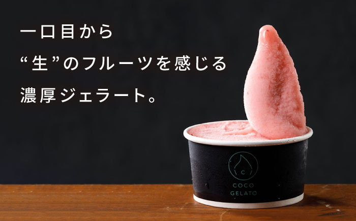 糸島 フルーツ 生ジェラート 9個セット 糸島市 / COCO GELATO [AON001] ジェラート フルーツ 果物 アイス アイスクリーム 濃厚
