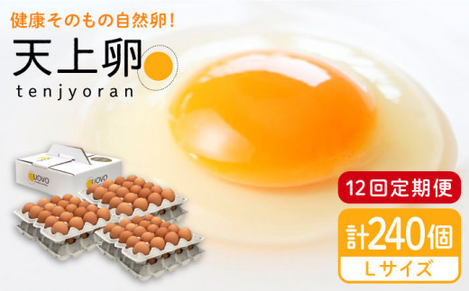 【全12回定期便】 こだわりの卵「天上卵」20個セット 糸島市 / おおはまファーム 鶏卵 平飼い たまご 玉子 [AKH004]