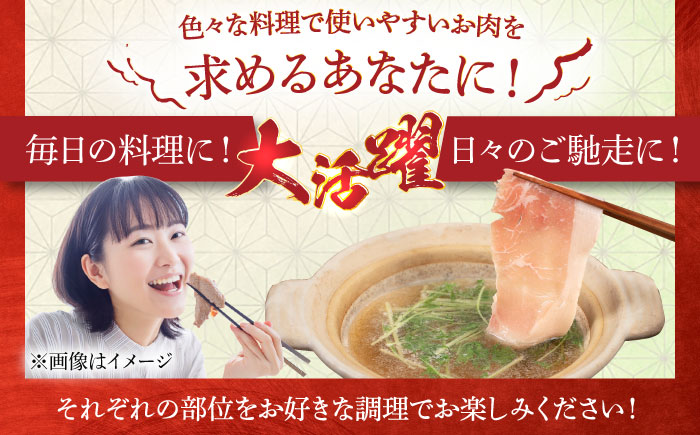 【全3回定期便】合計4.6kg！糸島豚食べ尽くしセット(とんかつ、肩ロース、しゃぶしゃぶ、豚バラ、スペアリブ、小間切れ) 糸島市 / トラヤミートセンター 豚肉 セット [AJD023]