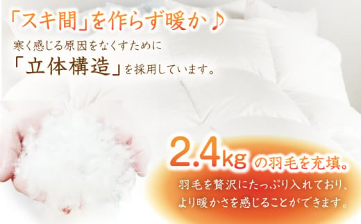 【 糸島 羽毛 ふとん 】【キング】羽毛 布団 無地 ダウン93％ 糸島市 / 株式会社三樹 [AYM018]