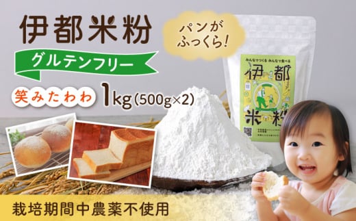 伊都 米粉 笑みたわわ 1kg 500g×2 糸島市 / フルタク [AHN008]  グルテンフリー 米