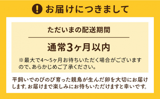 【 プリップリ な 卵黄 ！】 つまんでご卵 60個 セット 糸島 / 緑の農園 たまご 卵 [AGA012] 生卵 鶏卵