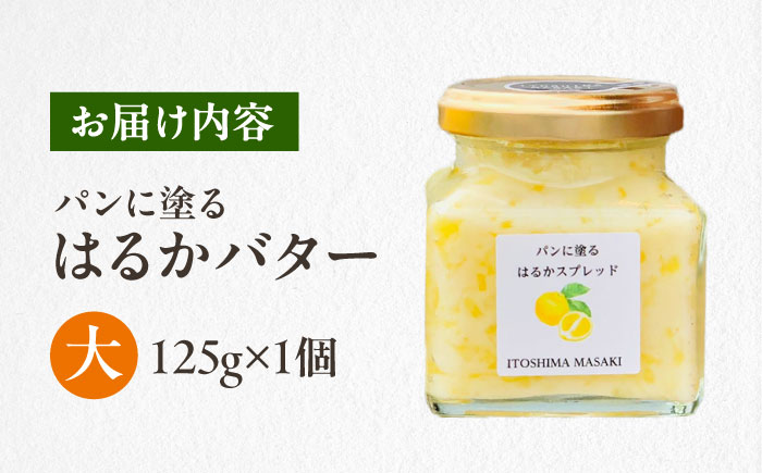 はるかバター 大 1個 糸島市 / 糸島正キ みかん ジャム クリーム [AQA058] バター フルーツバター はるか みかん ジャム かわいい ギフト 贈り物