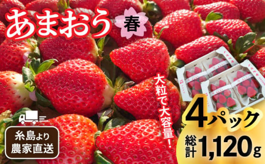 【先行予約】【農家直送！】糸島産 春 あまおう 280g × 4パック  (DXまたはGサイズ)   【2025年1月下旬より順次発送】糸島市 / 後藤農園 [AML002] いちご 福岡