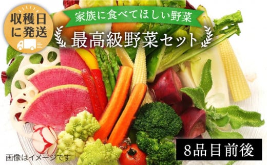 【 栽培期間中農薬 ・ 化学肥料 不使用 】こだわり 高級 野菜 セット《糸島》【オーガニックナガミツファーム】[AGE014]