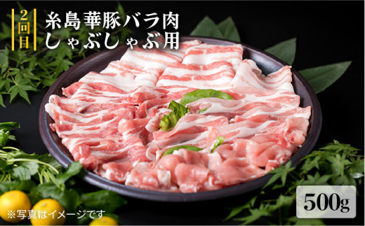 美味しさ 満載 ！ 贅沢お 肉 セット の 定期便 全5回 （月1回） 4人 家族用 【福岡 糸島産 牛肉 豚肉 鶏肉 ステーキ しゃぶしゃぶ すき焼き ヒレ シャトーブリアン ロース】 《糸島》 【糸島ミートデリ工房】 [ACA083]