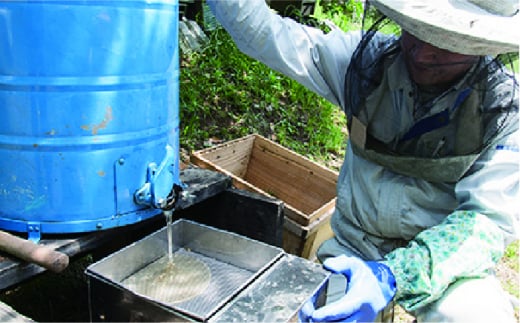 糸島 はちみつ 320g 糸島市 / ヴァンベールフーズ 百花 蜂蜜 [AFJ001] 蜂蜜 はちみつ ハチミツ 国産 非加熱 無添加 紅茶 日本蜜蜂