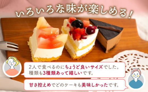 フルーツ / チョコムース / レアチーズ ホールケーキ 3種 冷凍 糸島市 / 五洋食品産業 [AQD017] ランキング 上位 人気 おすすめ