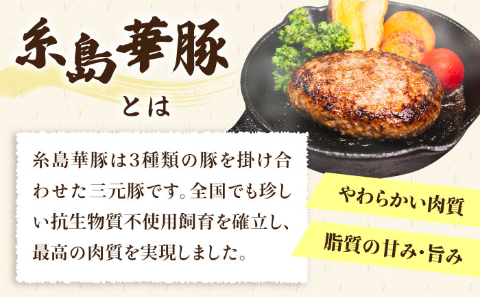 【人気セット】A4ランク 博多 和牛 ヒレ肉 サイコロ ステーキ 300g / 生 ハンバーグ 150g × 3個 《糸島》 【糸島ミートデリ工房】 [ACA052] 国産 冷凍 ランキング 上位 人気 おすすめ 黒毛 和牛 牛肉 ヒレ ステーキ サイコロ ハンバーグ 赤身 小分け  キャンプ