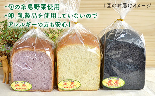 【 全6回 定期便 】身体がよろこぶ 食パン 3種 セット ( 卵 / 乳製品 不使用 )《糸島》【天然パン工房楽楽】【いとしまごころ】[AVC014]