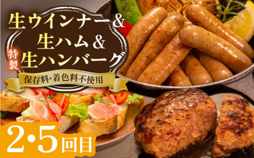 【全6回定期便】 ウインナー / ハンバーグ / ハム 月替り セット 糸島市 / 志摩スモークハウス 生ハム ベーコン [AOA039]