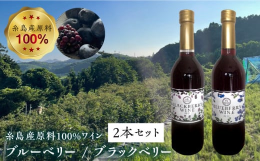 糸島産 ブルーベリー ＆ ブラックベリー ワイン 720ml×2種 セット 糸島市 / HYM FARM [AHM001]