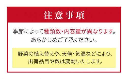 福岡県 糸島産 旬 の 野菜 盛り合わせ セット《糸島》【株式会社フロンティア・アドバンス】 [AWC006]