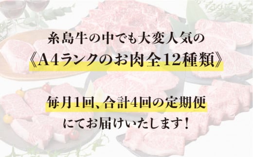 【 定期便 】 A4 ランク 福岡県産 糸島 黒毛和牛 を 毎月 1回 合計４回 で お届け 《糸島》 【糸島ミートデリ工房】 [ACA073]