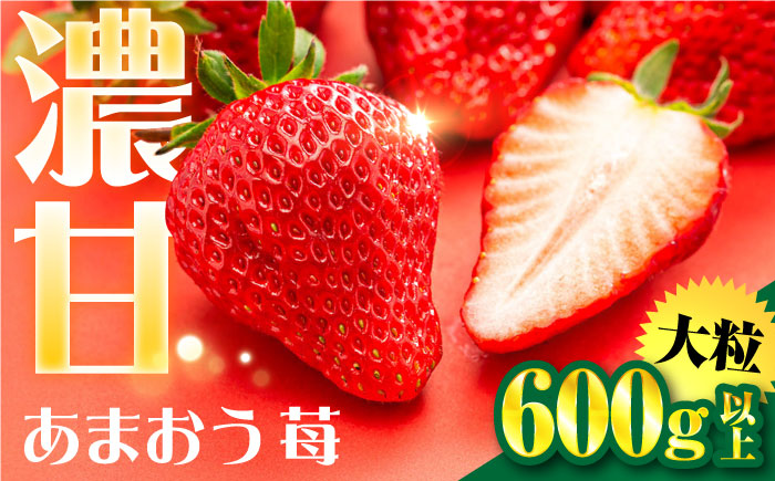 【化粧箱】あまおう いちご 600g以上 糸島市 / 株式会社フルコンス [ALO001]