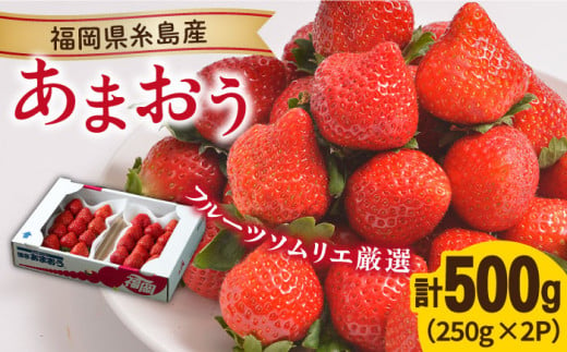 【先行予約】糸島産【冬】 あまおう 2パック 【2024年12月上旬以降順次発送】 《糸島》【南国フルーツ株式会社】 [AIK007]