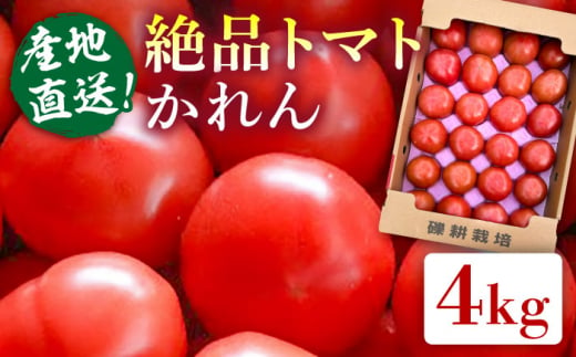 【産地直送！】糸島産 絶品 トマト かれん (4kg 28玉 前後) 糸島市 / シーブ [AHC019]