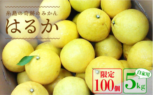 【先行予約】爽やか に甘い！ 糸島産 「 はるか 」  自家用 約 5kg 【2025年3月より順次発送】二丈赤米産直センター [ABB023]