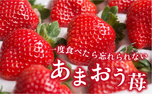 【先行予約】糸島産 あまおう ギフト 箱 ( 12-15粒 ) 【2024年12月上旬以降順次発送】 《糸島》【南国フルーツ株式会社】 [AIK010]