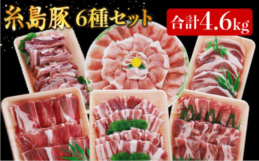 合計4.6kg！糸島豚 食べ尽くし セット ( とんかつ / 肩ロース / しゃぶしゃぶ / 豚バラ / スペアリブ / 小間切れ ) 糸島 / トラヤミートセンター [AJD005] 国産 豚肉 とんかつ