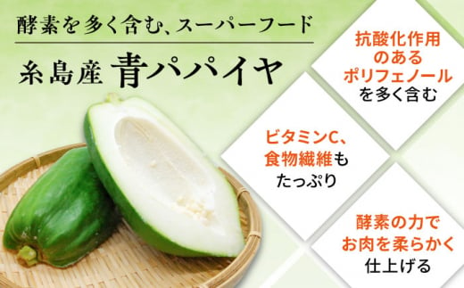 糸島産 青パパイヤ 約5kg 糸島市 / 食と健康のブリッジベース 野菜 タイ料理 [ANN001]