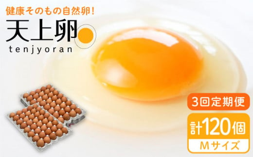 【 全3回 定期便 】 こだわり の 卵 「 天上卵 」 40個 セット 《糸島》【株式会社おおはまファーム】[AKH006]