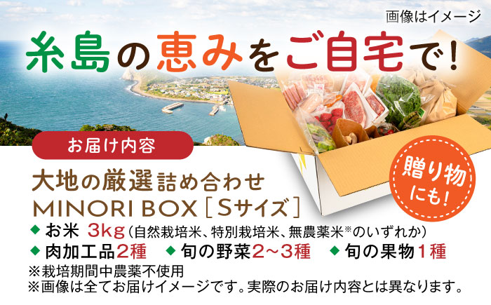 糸島産 肉 米 野菜 果物 厳選詰め合わせ MINORI BOX Sサイズ 糸島市 / emma.Inc / 米 肉 野菜 果物 詰め合わせ [AOP007]