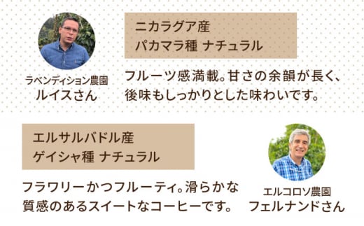 【全12回定期便】種類 おまかせ 中煎り コーヒー 定期便 【選べる豆or粉】 糸島市 / COFFEE UNIDOS  珈琲 [AQF017]