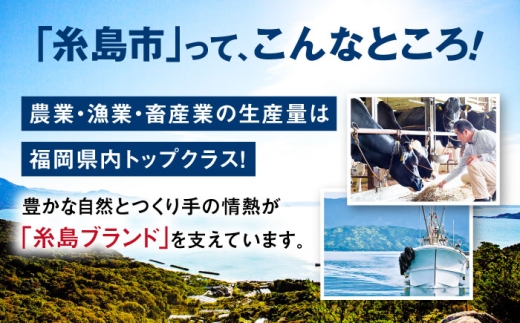 【 しゃぶしゃぶ 】糸島産豚肉 豚 ロース スライス 1.2kg 糸島 / 糸島ミートデリ工房 [ACA092] 豚肉 豚ロース ロース