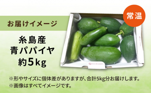 糸島産 青パパイヤ 約5kg 糸島市 / 食と健康のブリッジベース 野菜 タイ料理 [ANN001]