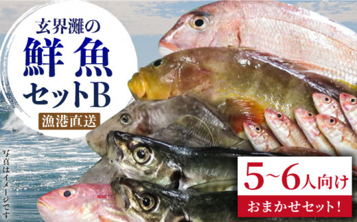福吉 漁港 直送 ！ 玄界灘 鮮魚 セット B （ 5,6人向け ） 《糸島》 【福ふくの里】 [ALD002]