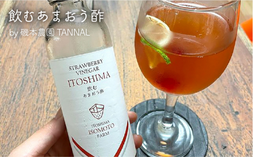 糸島 フルーツ ギフト 《 糸島 》【磯本農園 TANNAL・110west.inc・】【いとしまごころ】[ASD023]