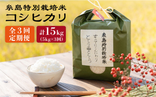 【全3回定期便】とくべつの中のとくべつ 糸島 特別栽培米 5kg （ コシヒカリ ） 糸島市 / itoshimacco / 株式会社やました [ARJ025]