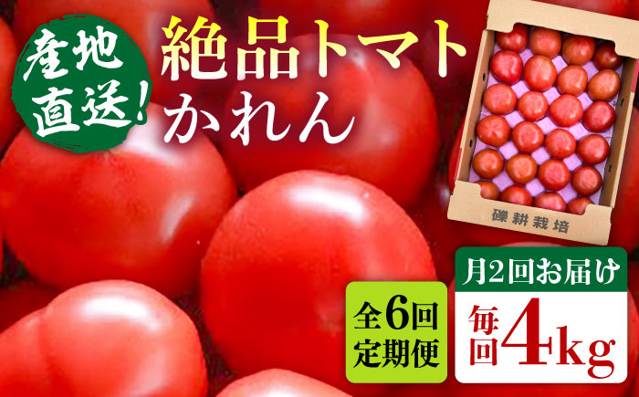 【全6回定期便】糸島産 絶品トマト かれん (4kg28玉前後) 糸島市 / シーブ 野菜 とまと 大玉トマト [AHC067]