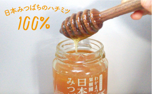 わかまつ 果樹園 の 日本 蜜蜂 の はちみつ 2コ セット 100％ PURE RAW 《糸島》【わかまつ農園】[AHB010]