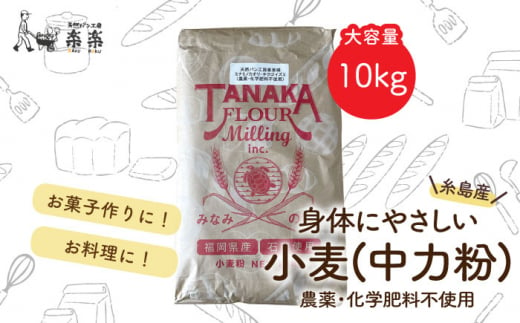 【 業務用 】 伊都 の かおり ( 中力粉 ) 10kg 《糸島》【天然パン工房楽楽】【いとしまごころ】 [AVC063]