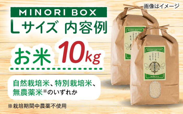 【全4回定期便 令和7年産新米】糸島産 魚 米 野菜 果物 厳選詰め合わせ MINORI BOX Lサイズ【季節ごとに年4回お届け】　糸島市 / emma.Inc / 米 魚 野菜 果物 詰め合わせ [AOP006] 米 こめ 魚 さかな 野菜 やさい 果物 くだもの 糸島 詰め合わせ MINOR