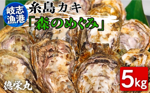 糸島カキ 生牡蠣 5kg 福岡県糸島市岐志漁港 糸島市 / 徳栄丸 牡蠣 生カキ 生食用 殻付き カキ 生牡蛎 生食可 [APD002]