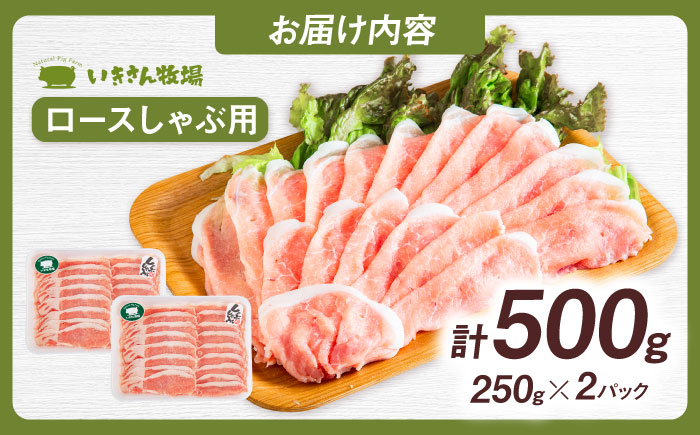 一貴山豚 ロースしゃぶ用 計500g(250g×2p) 糸島市 / いきさん牧場 豚肉 [AGB044] 豚肉 豚 ブランド豚 一貴山豚 ポーク ロース スライス 250g 小分け
