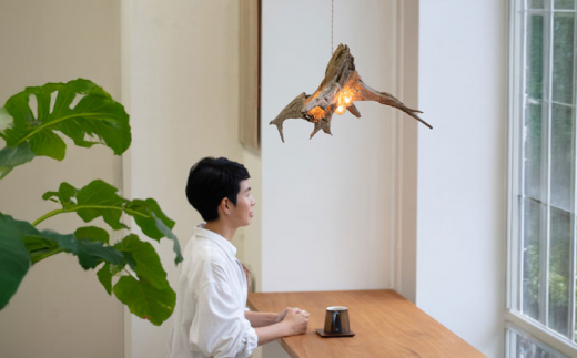 3Bulb Driftwood pendantlight ペンダントライト 糸島市 / WOOD\'ARBRE(ウッドラヴル)【TIME】 インテリア 照明 [ADC005]