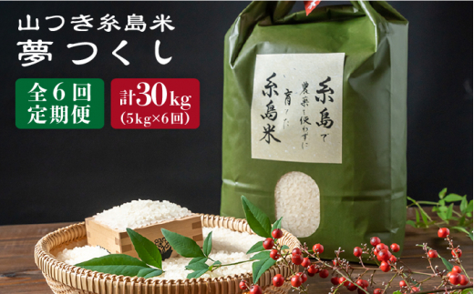 【全6回定期便】 糸島 で 農薬 を使わずに育てた 山つき 糸島米 5kg （ 夢つくし ） 糸島市 / 株式会社やました [ARJ012]