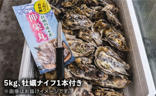 一粒牡蠣 カキ 5kg (牡蠣ナイフ付き) 糸島産 福吉 糸島市 / 伸栄丸 カキの佐々木 牡蠣 生カキ 生食用 殻付き カキ 生牡蛎 生食可 [ATH003]