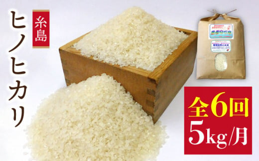 【新米】【全6回定期便】 ヒノヒカリ 5kg 福吉産 お米 栽培期間農薬不使用 糸島 / 二丈赤米産直センター [ABB012] ひのひかり 米